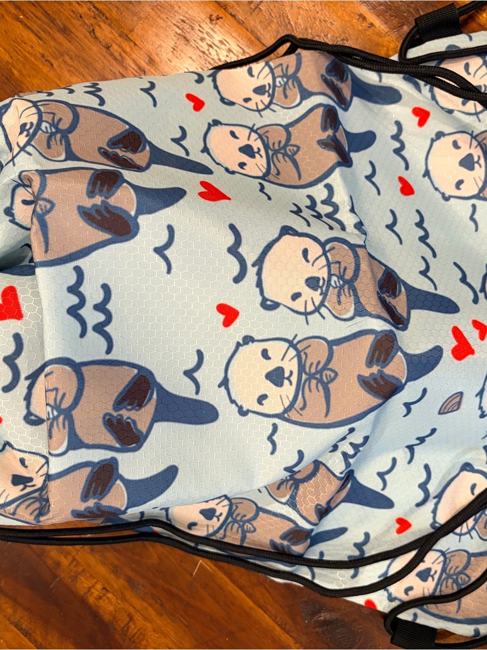 Kids Light Blue Drawstring Bag with Otter and Heart Print